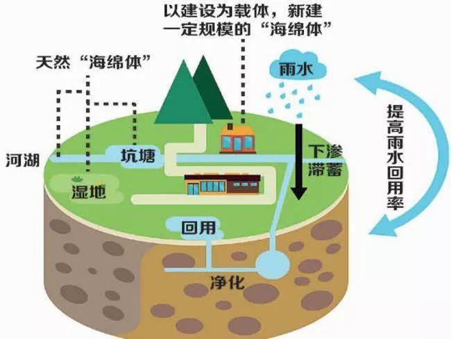雨水收集利用系統都被應用到什么領域？