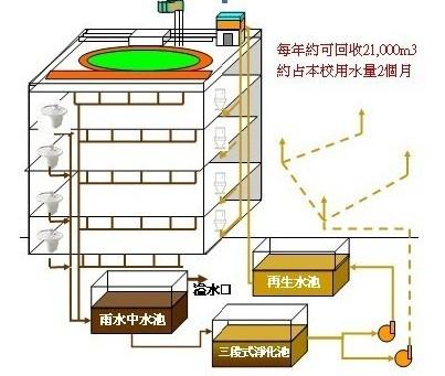 使用雨水收集系統的地區對當地的水資源保護帶來了哪些好處？