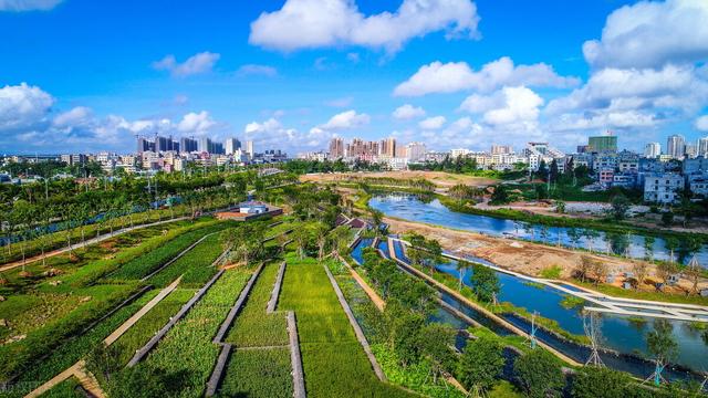 建設海綿城市，讓城市自由“呼吸”