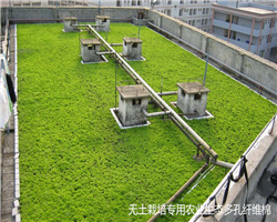 生態(tài)多孔纖維棉的問(wèn)世為我國(guó)建設(shè)海綿城市提供支持